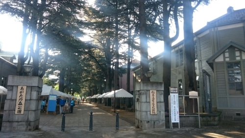 f0260414_09510662.jpg
