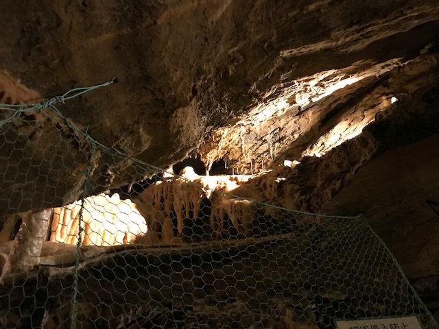 a0268821_23241340.jpg