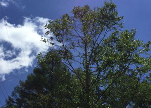 c0048023_20465883.jpg