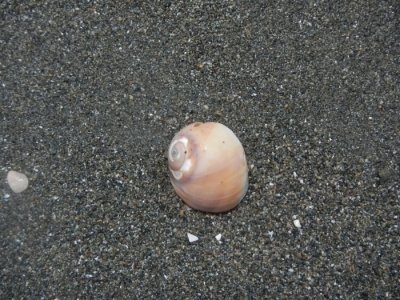 c0212823_18570001.jpg