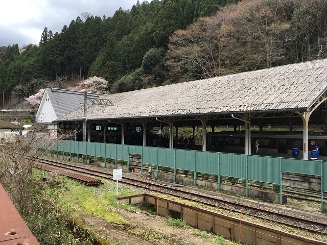 お花見2017（吉野山）_e0303726_09264516.jpg