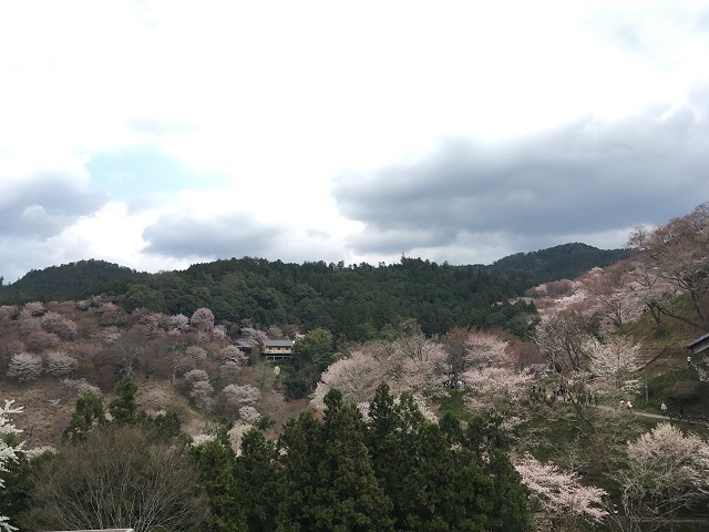 お花見2017（吉野山）_e0303726_09271231.jpg