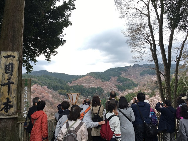 お花見2017（吉野山）_e0303726_09273119.jpg