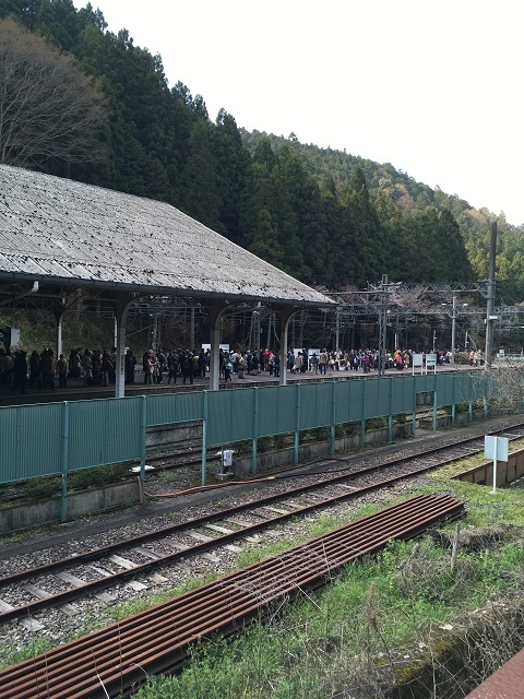 お花見2017（吉野山）_e0303726_09274123.jpg