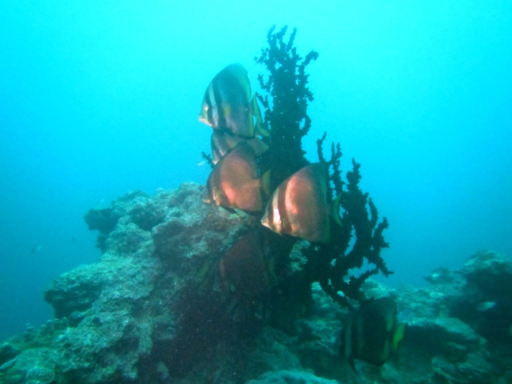 a0189838_19082014.jpg