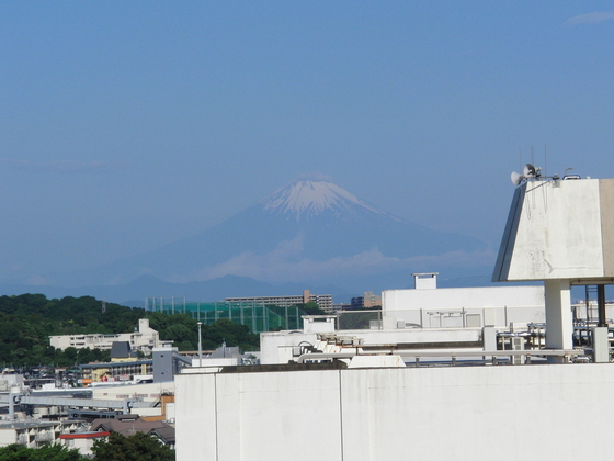 e0222340_1485829.jpg