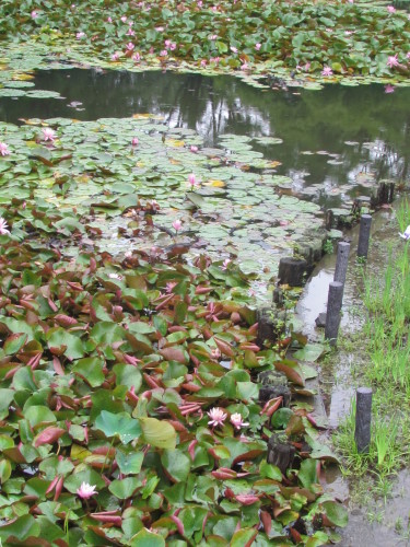 f0117041_17423738.jpg