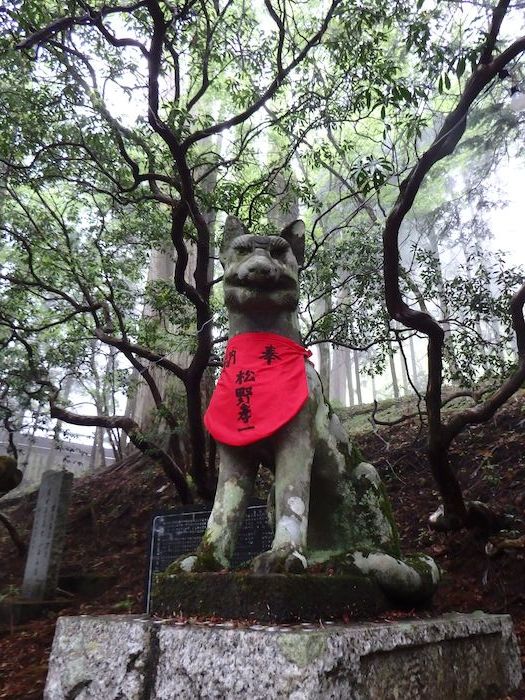 『三峯神社参拝／霧中散策（中）』 mj-2_a0289546_10545737.jpg