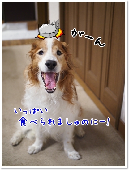 d0013149_01080545.jpg