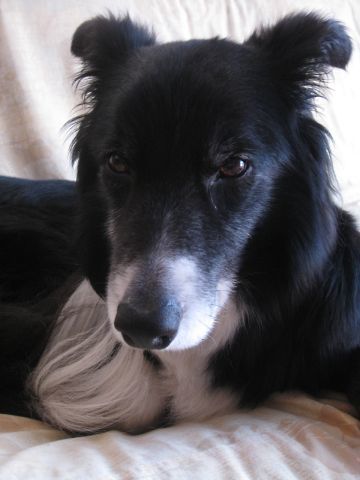 f0236653_20064891.jpg