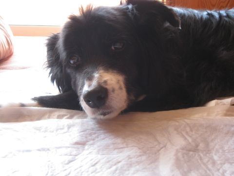f0236653_20065727.jpg