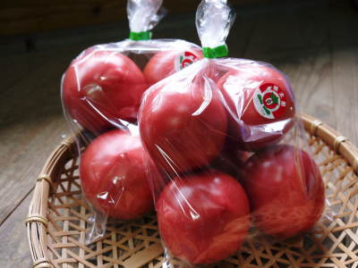 樹上完熟の朝採りトマト　令和元年の予約販売受付スタート！初回出荷は6月11日(火)です！_a0254656_17032313.jpg