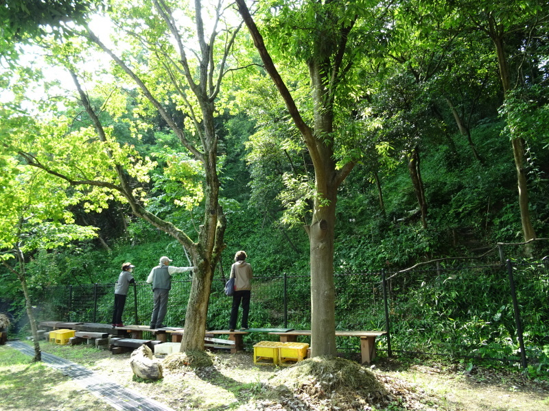 c0108460_21434156.jpg