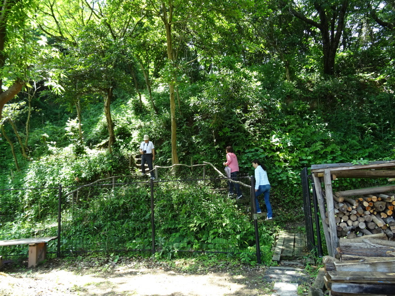 c0108460_21440433.jpg