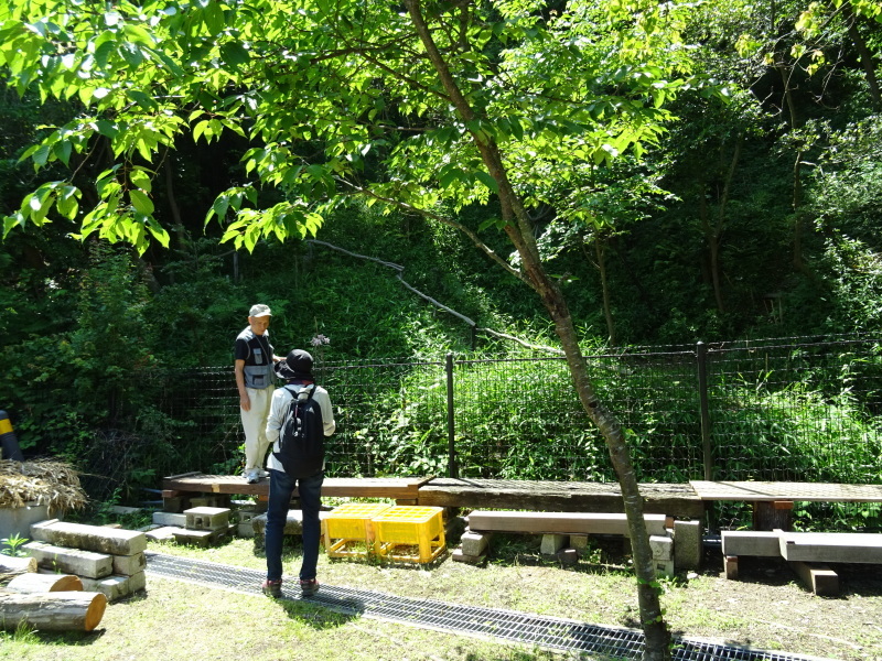 c0108460_21440888.jpg