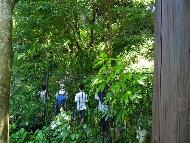c0108460_21450549.jpg