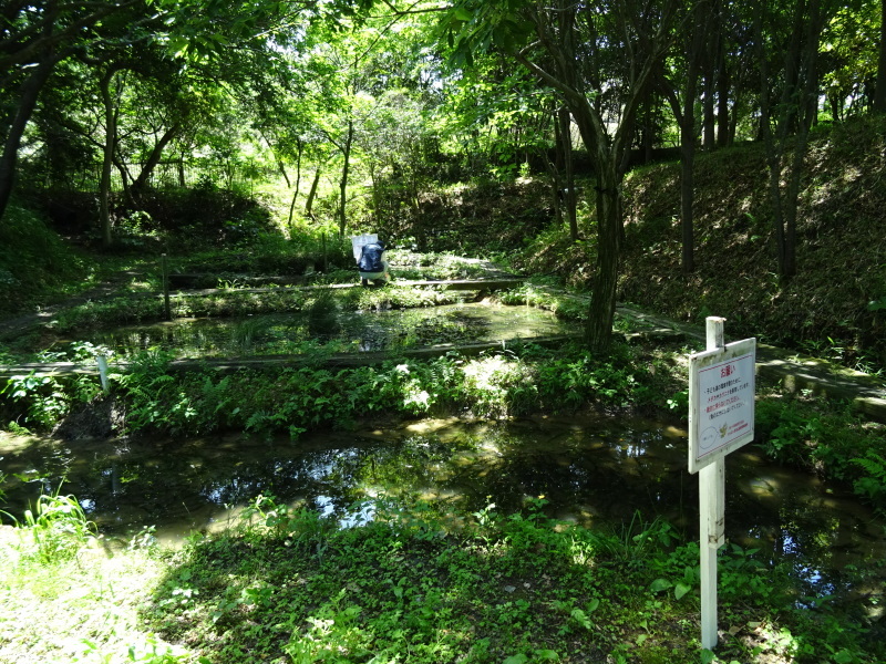 c0108460_21471333.jpg