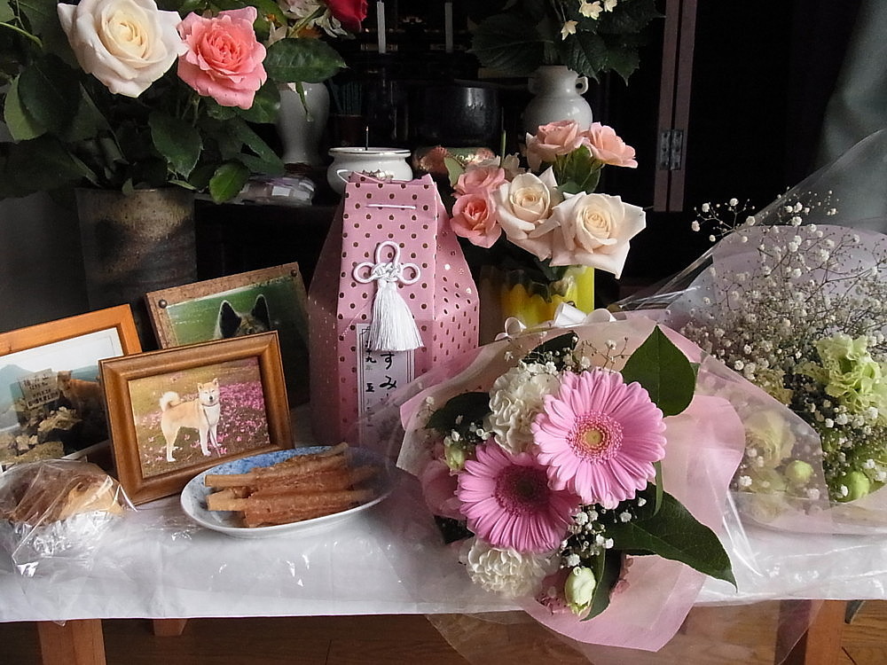 b0088173_20534900.jpg