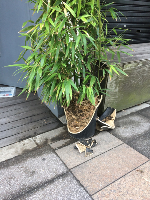 おはようございます_f0152875_08233658.jpg