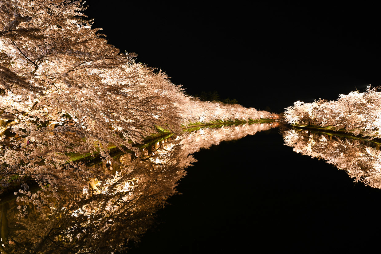 駆けつけ夜桜・弘前城公園 -1-_b0001380_21285822.jpg