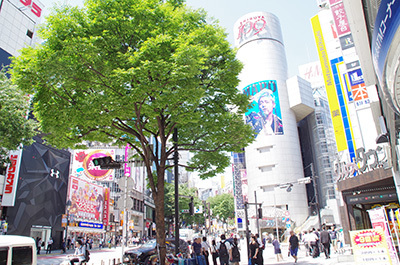 6月2日(金)今日の渋谷109前交差点_b0056983_18465180.jpg
