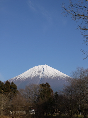 d0366488_22323331.jpg