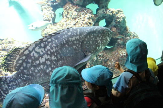 Spring Field Trip_a0115391_17510448.jpg