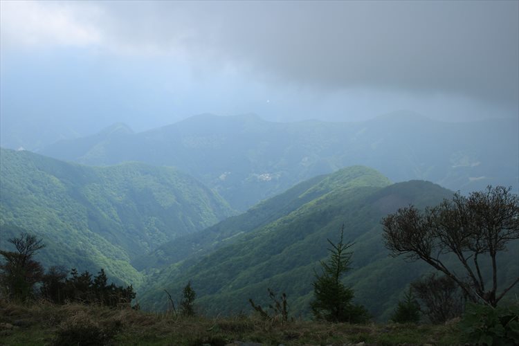 稲村尾根より鷹巣山、峰谷へ_b0246693_11444554.jpg