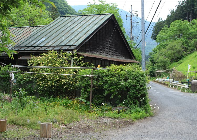 稲村尾根より鷹巣山、峰谷へ_b0246693_11494207.jpg