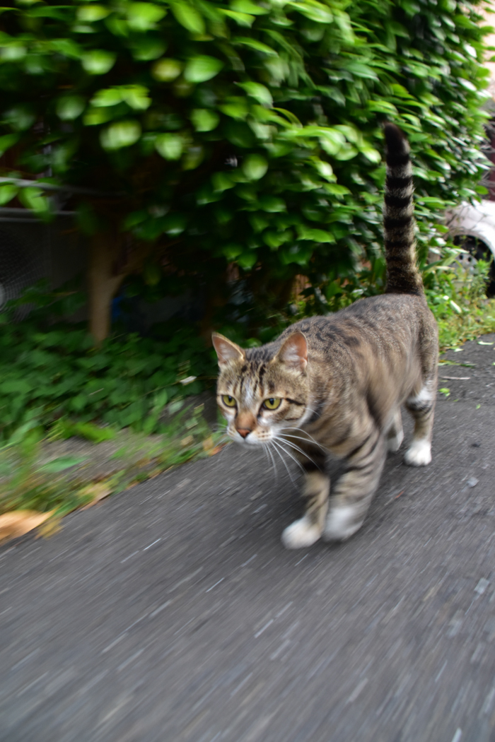 何の変哲もない日　(*^_^*)_c0049299_22544881.jpg