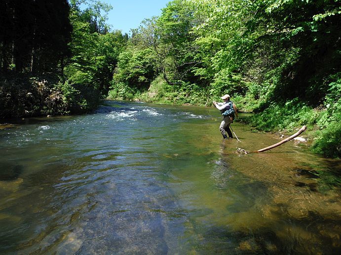 b0172805_20315791.jpg