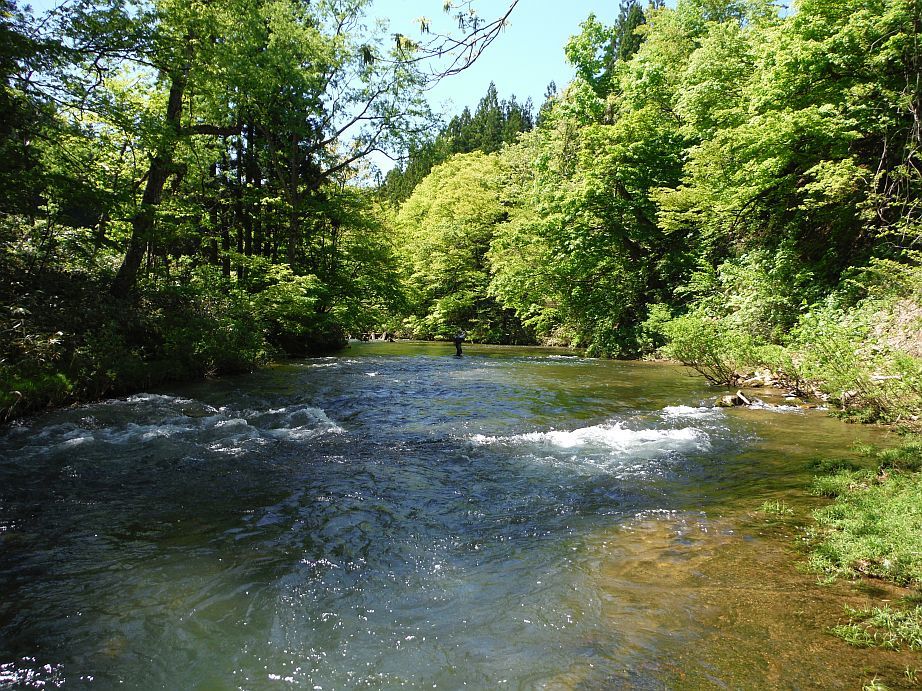 b0172805_20422243.jpg