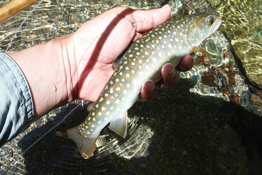 b0172805_21302606.jpg