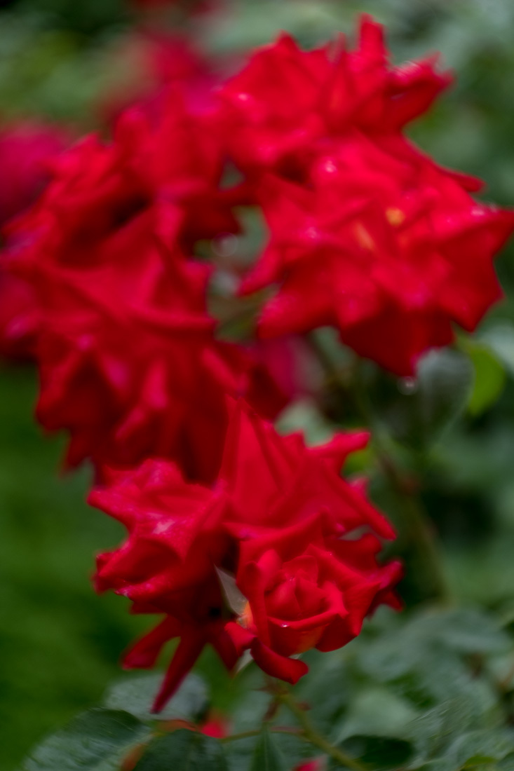 b0221605_21135542.jpg