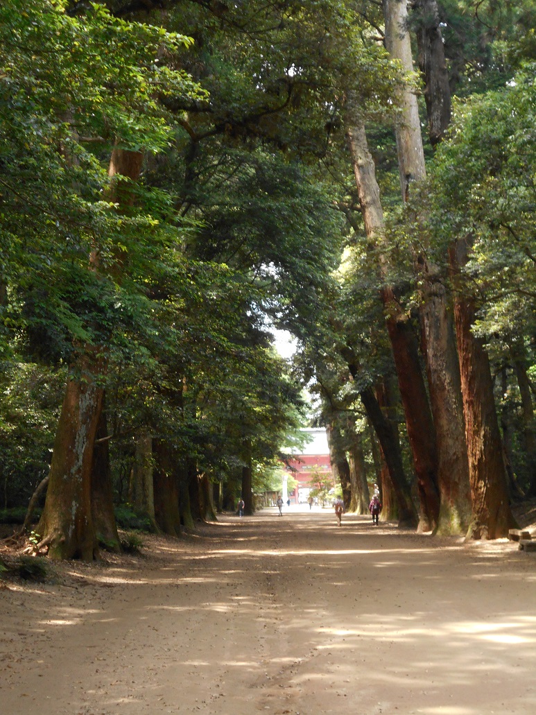 d0009105_15473929.jpg