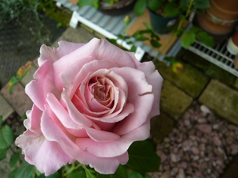 c0112206_23523873.jpg