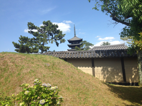 興福寺_b0039007_14540717.jpg