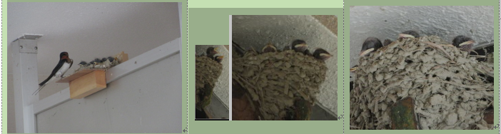 f0231709_19271085.png