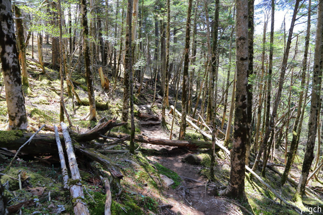 日本一の山へ 〜 牛奥ノ雁ヶ腹摺山_f0157812_15583928.jpg