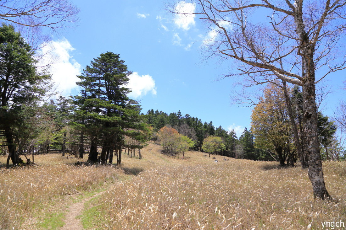 日本一の山へ 〜 牛奥ノ雁ヶ腹摺山_f0157812_15584042.jpg