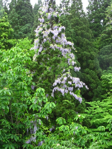 f0192924_17104765.jpg