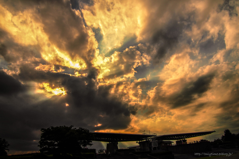 b0181125_16041531.jpg
