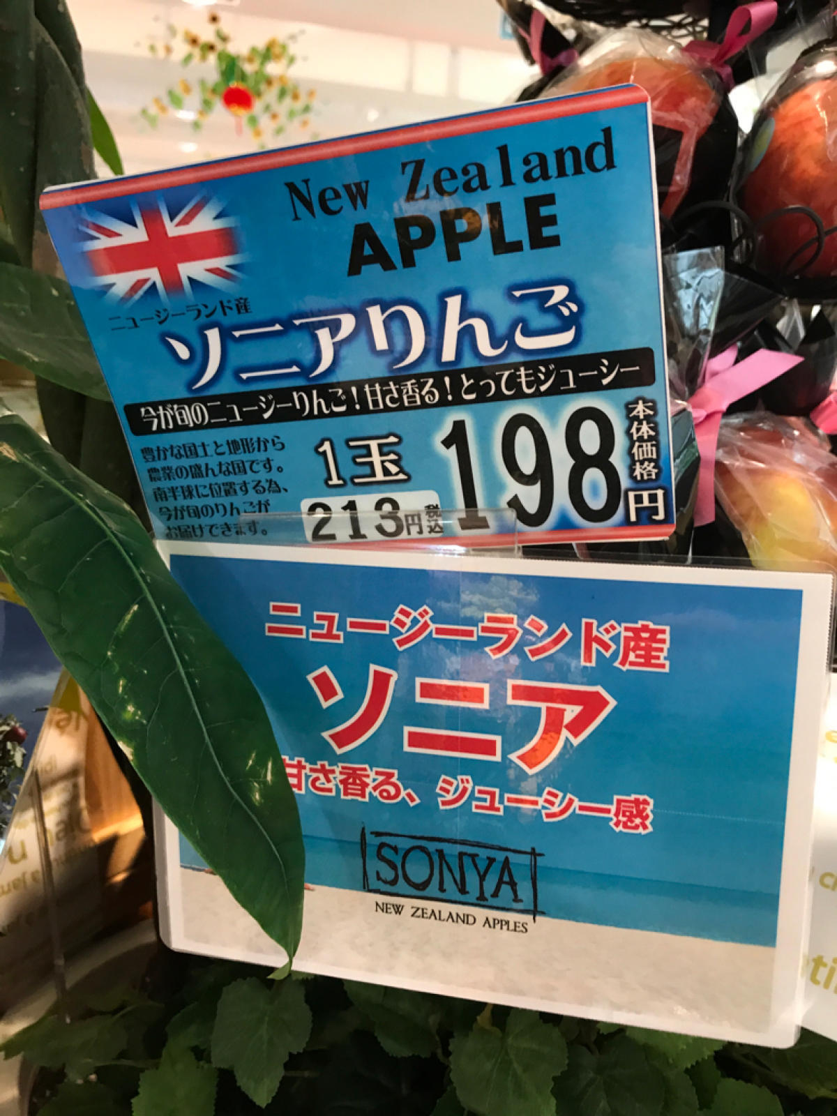 ＮＺリンゴ試食販売_c0213029_19224137.jpg