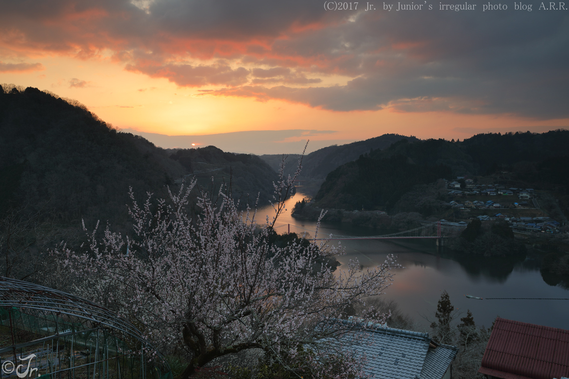 2017　春。　　～ 初春　梅 ～　⑧_a0313234_07180060.jpg