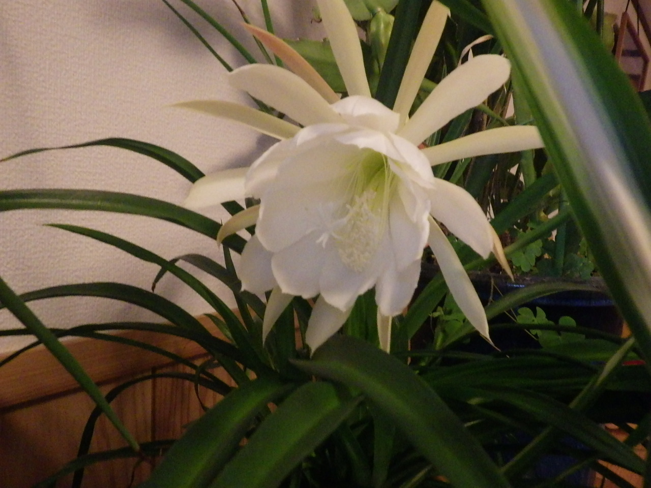 c0300035_09220346.jpg