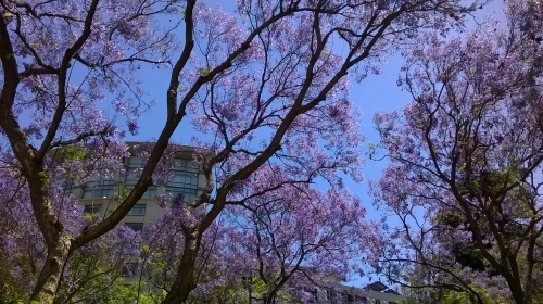 e0351841_17403710.jpg