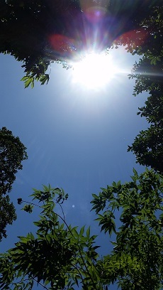 e0319042_11493945.jpg