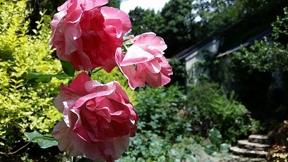 e0319042_11512153.jpg