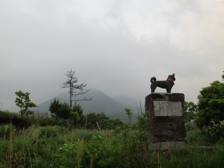 2017 九重連山ミヤマキリシマ咲き誇る平治岳～北大船山_a0206345_09091272.jpg