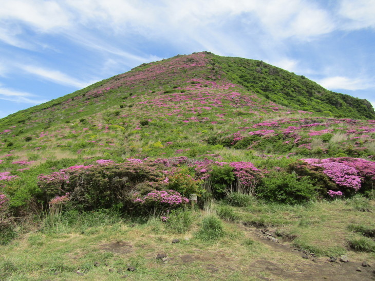 2017 九重連山ミヤマキリシマ咲き誇る平治岳～北大船山_a0206345_10361893.jpg